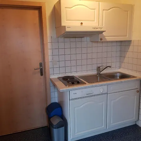 Heinrich 아파트 Altenberg